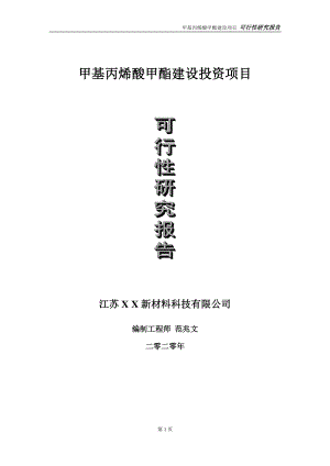 甲基丙烯酸甲酯建设投资项目可行性研究报告-实施方案-立项备案-申请.doc