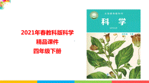 2021（新教材）教科版科学四年级下册-3.8岩石、土壤和我们课件.pptx