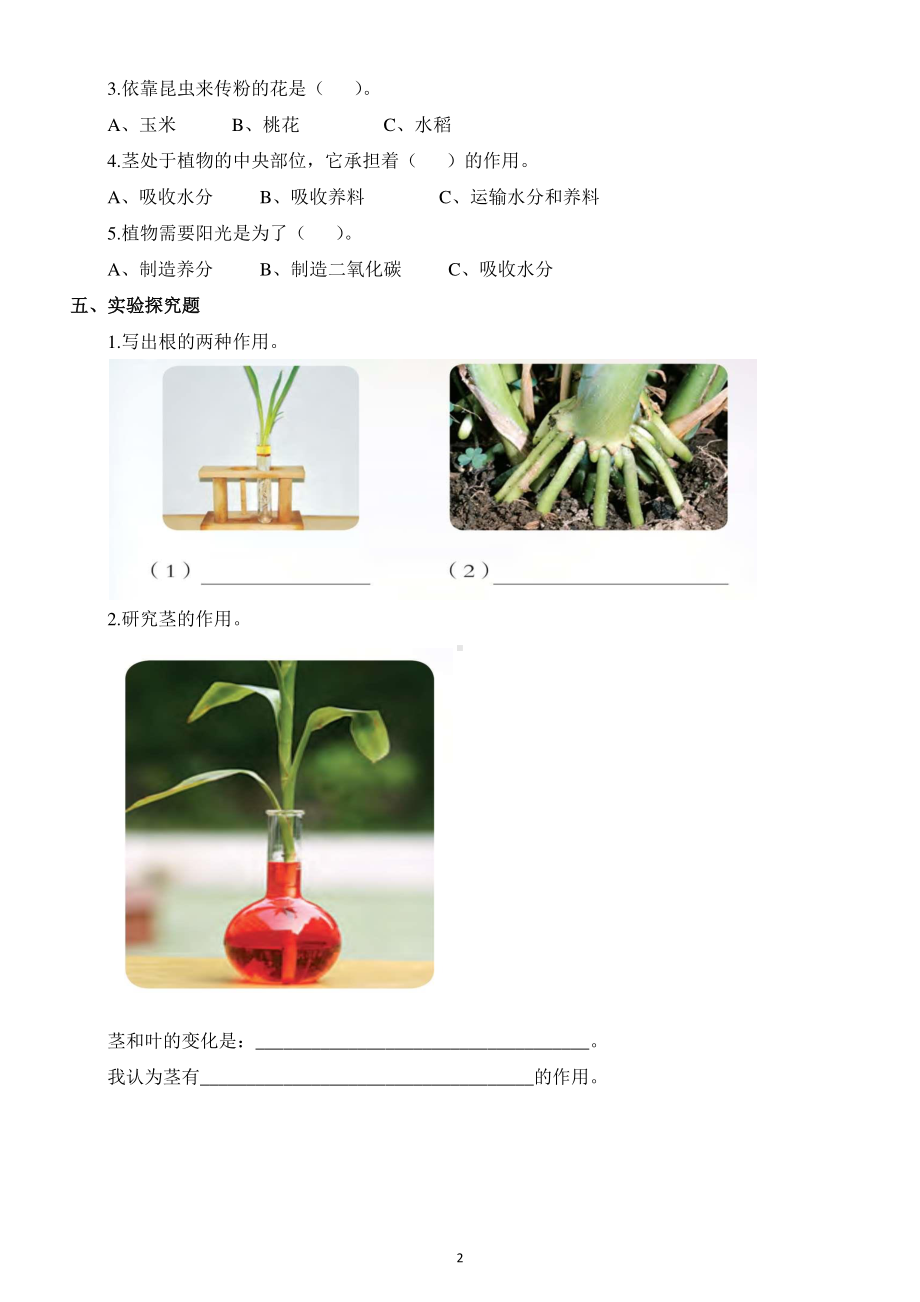 小学科学苏教版三年级下册第一单元《植物的一生》测试题.docx_第2页