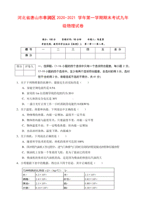 河北省唐山市丰润区2020-2021学年第一学期期末考试九年级物理试卷（附答案）.docx