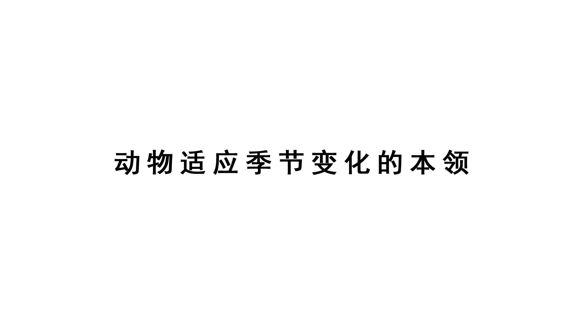 四年级下册科学视频：51动物适应季节变化的本领（2021新苏教版）.mp4