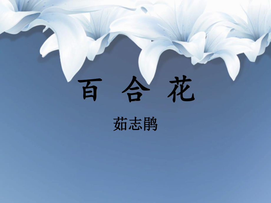 (2020)统编版高中语文必修上册《百合花》课件ppt（14张PPT）.ppt_第1页