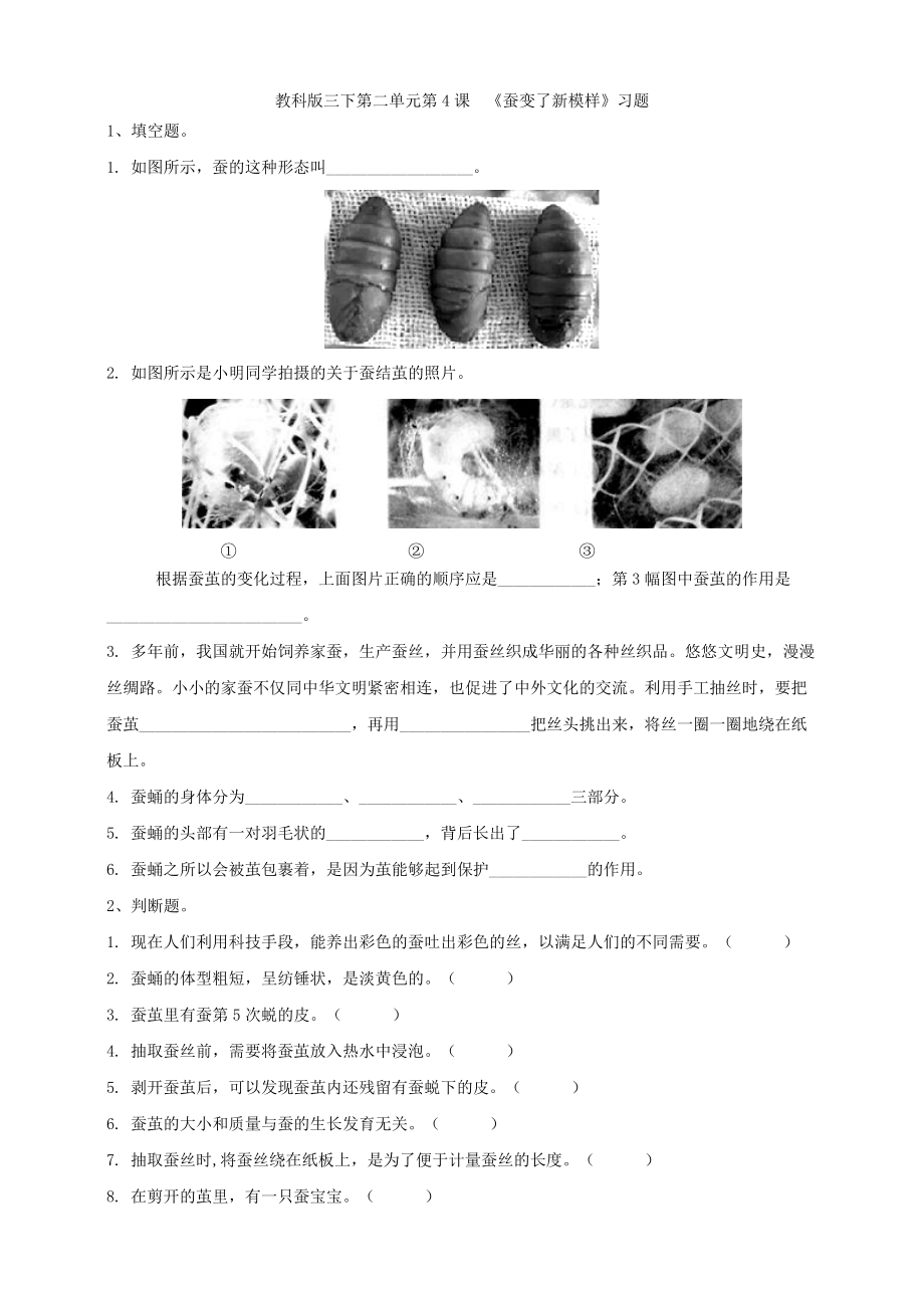 2021新教科版（三下）科学2.4 蚕变了新模样（ppt课件+教案+练习+视频素材）.rar