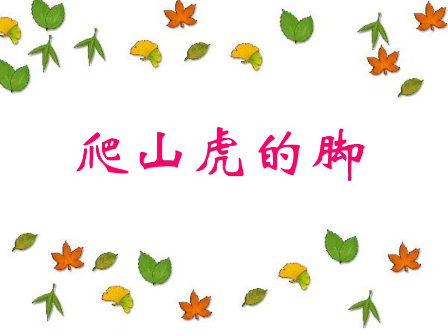 《爬山虎的脚》.ppt_第3页