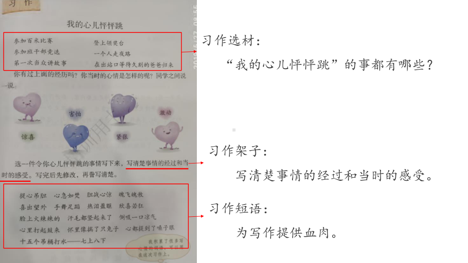 我的心儿怦怦跳文本解读0714.pptx_第3页