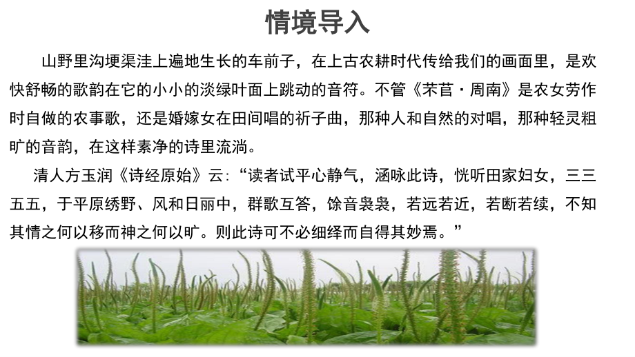 （新教材）6《芣苢》教学课件ppt—2020年秋语文统编版必修上册.pptx_第3页