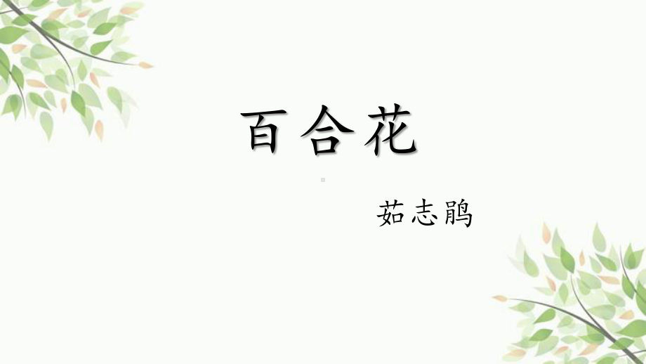 （新教材）3《 百合花》 课件ppt 课件ppt—2020-2021学年高中语文必修上册部编版（2020）.pptx_第1页