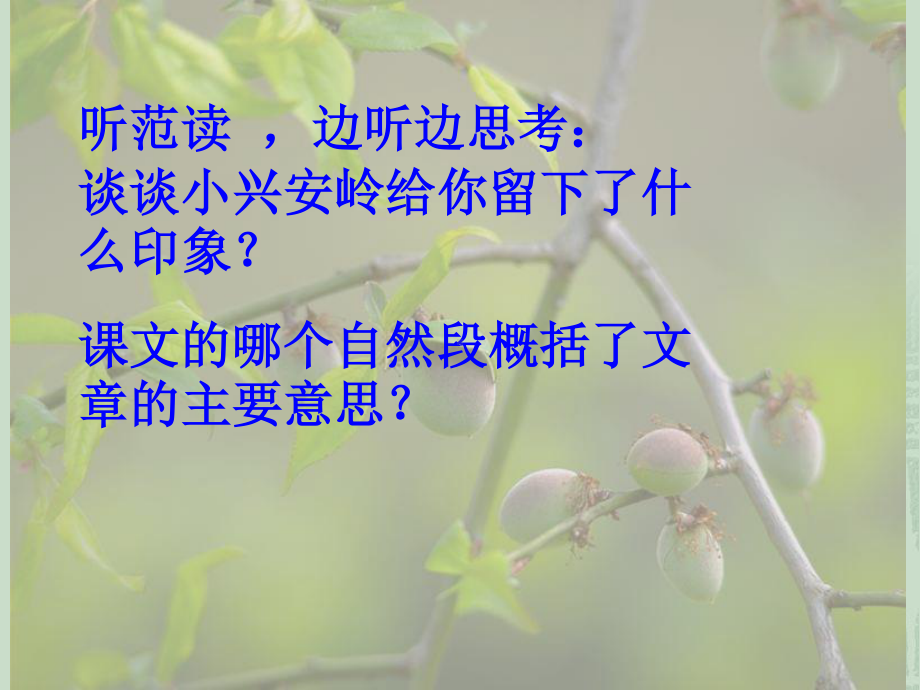 美丽的小兴安岭PPT.ppt_第2页