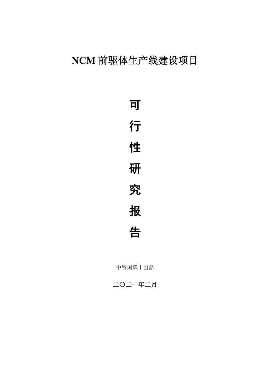 NCM前驱体生产建设项目可行性研究报告.doc_第1页