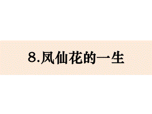 2021新教科版四年级下册科学1-8《凤仙花的一生》ppt课件(共14张PPT).pptx