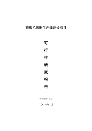 硫酸乙烯酯生产建设项目可行性研究报告.doc