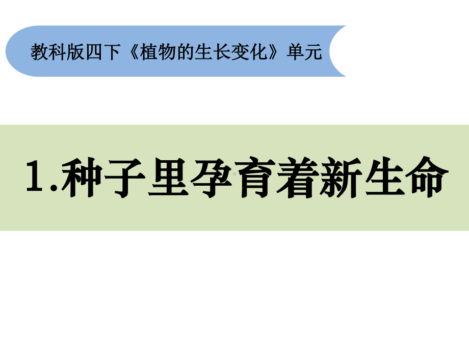 2021新教科版四年级下册《科学》1.1《种子里孕育着新生命》ppt课件（10张ppt）.pptx_第1页