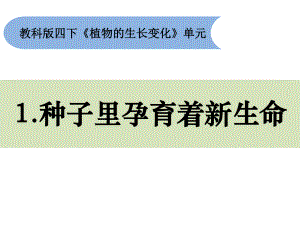 2021新教科版四年级下册《科学》1.1《种子里孕育着新生命》ppt课件（10张ppt）.pptx