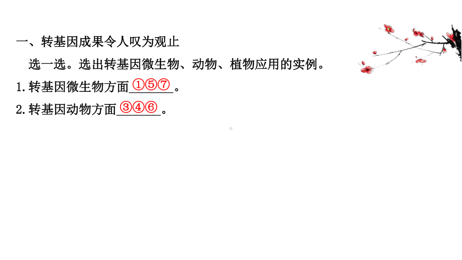 （新教材）高中生物人教版选择性必修三课件：4.1 转基因产品的安全性 .ppt_第3页