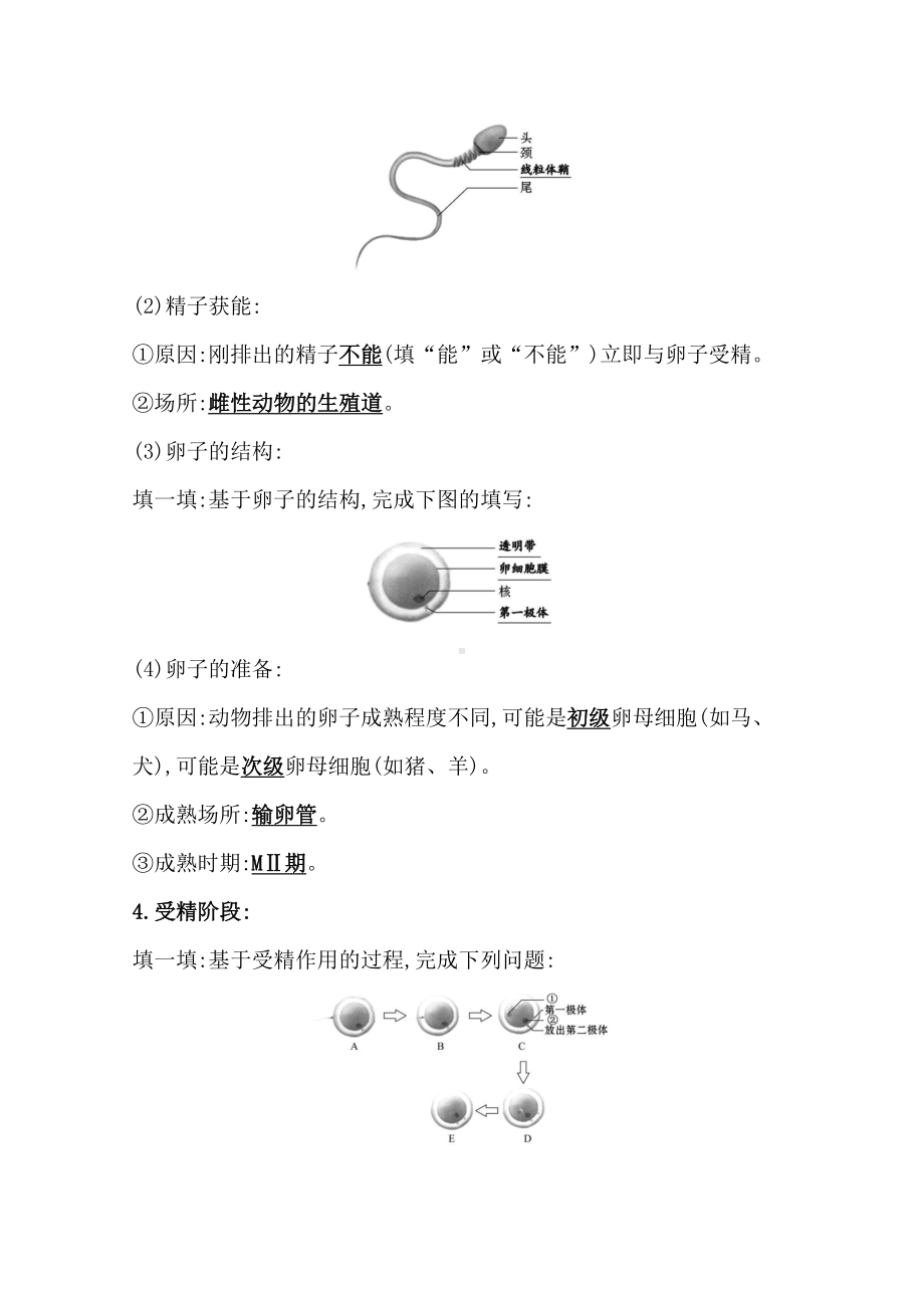 （新教材）高中生物人教版选择性必修三学案+练习：2.3.1 胚胎工程的理论基础 （含解析）.doc_第2页