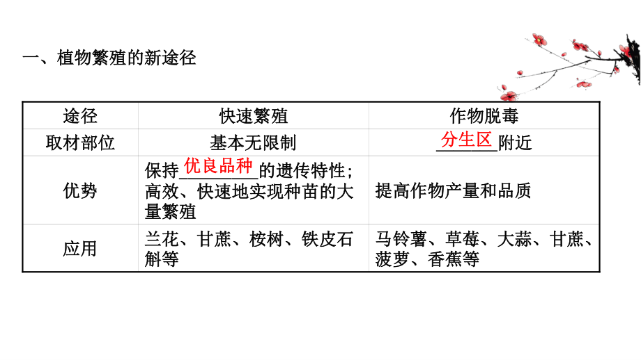 （新教材）高中生物人教版选择性必修三课件：2.1.2 植物细胞工程的应用 .ppt_第3页