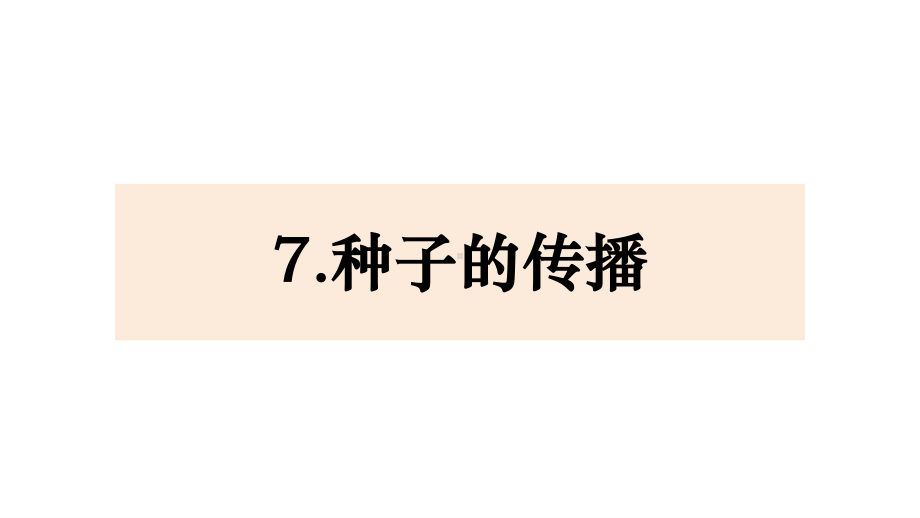 2021新教科版四年级下册《科学》1.7《种子的传播》 ppt课件(共12张PPT).pptx_第1页