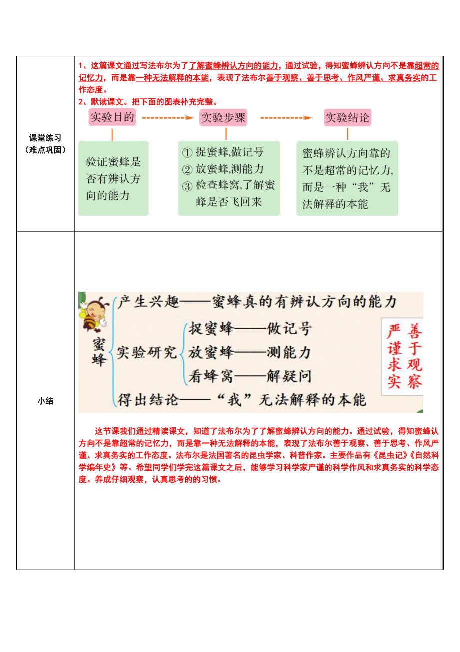 三年级语文下册教案-14《蜜蜂》人教部编版(1).doc_第3页