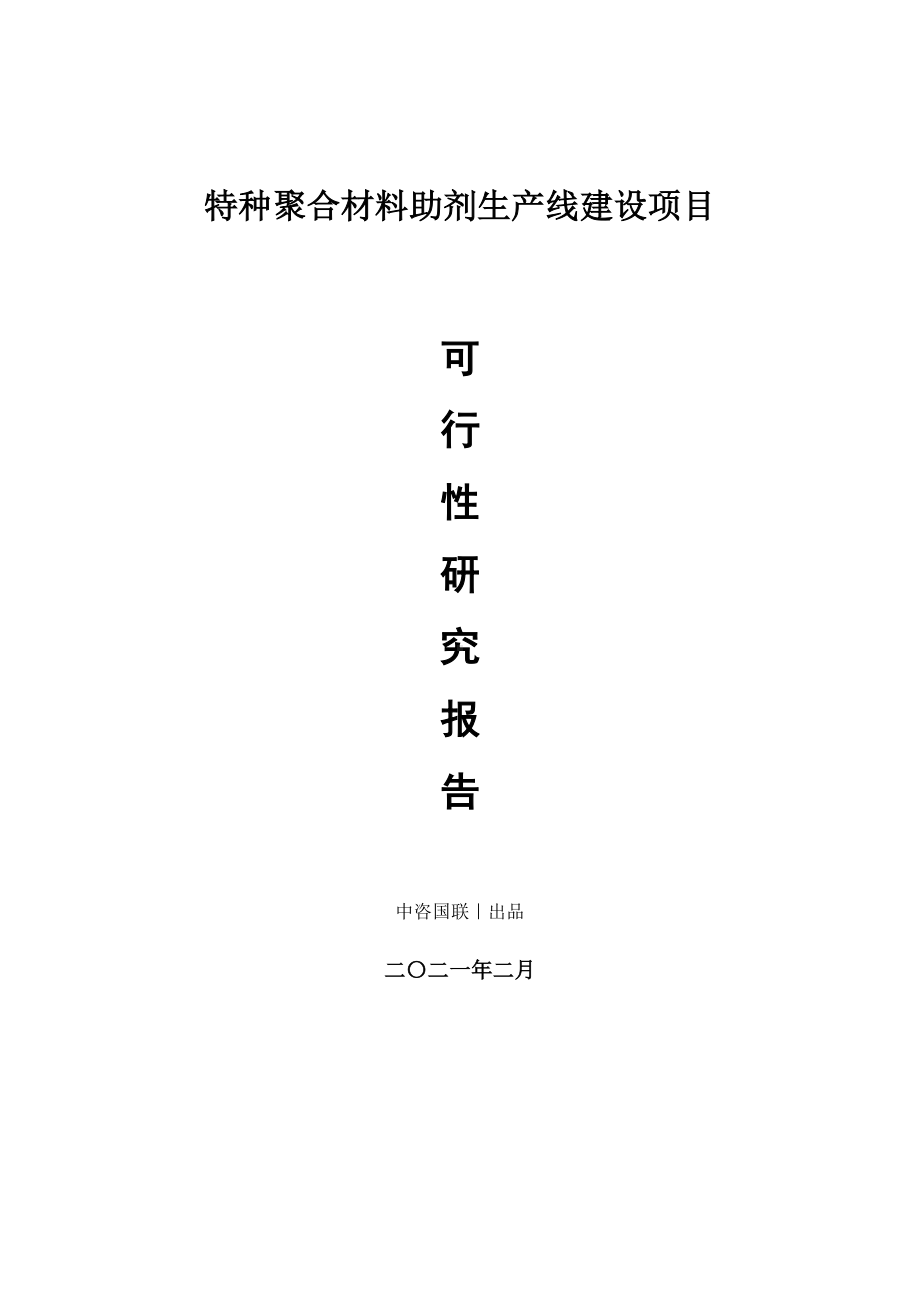 特种聚合材料助剂生产建设项目可行性研究报告.doc_第1页