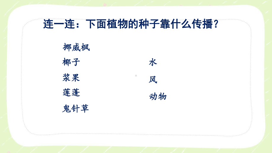 2021新教科版四年级科学下册1.7《种子的传播》教学课件.PPTX_第2页