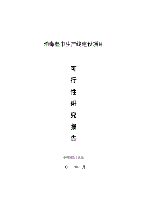 消毒湿巾生产建设项目可行性研究报告.doc