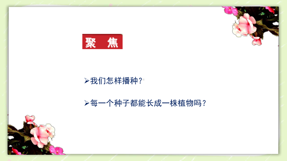 2021新教科版四年级科学下册1.2《种植凤仙花》教学课件.PPTX_第2页