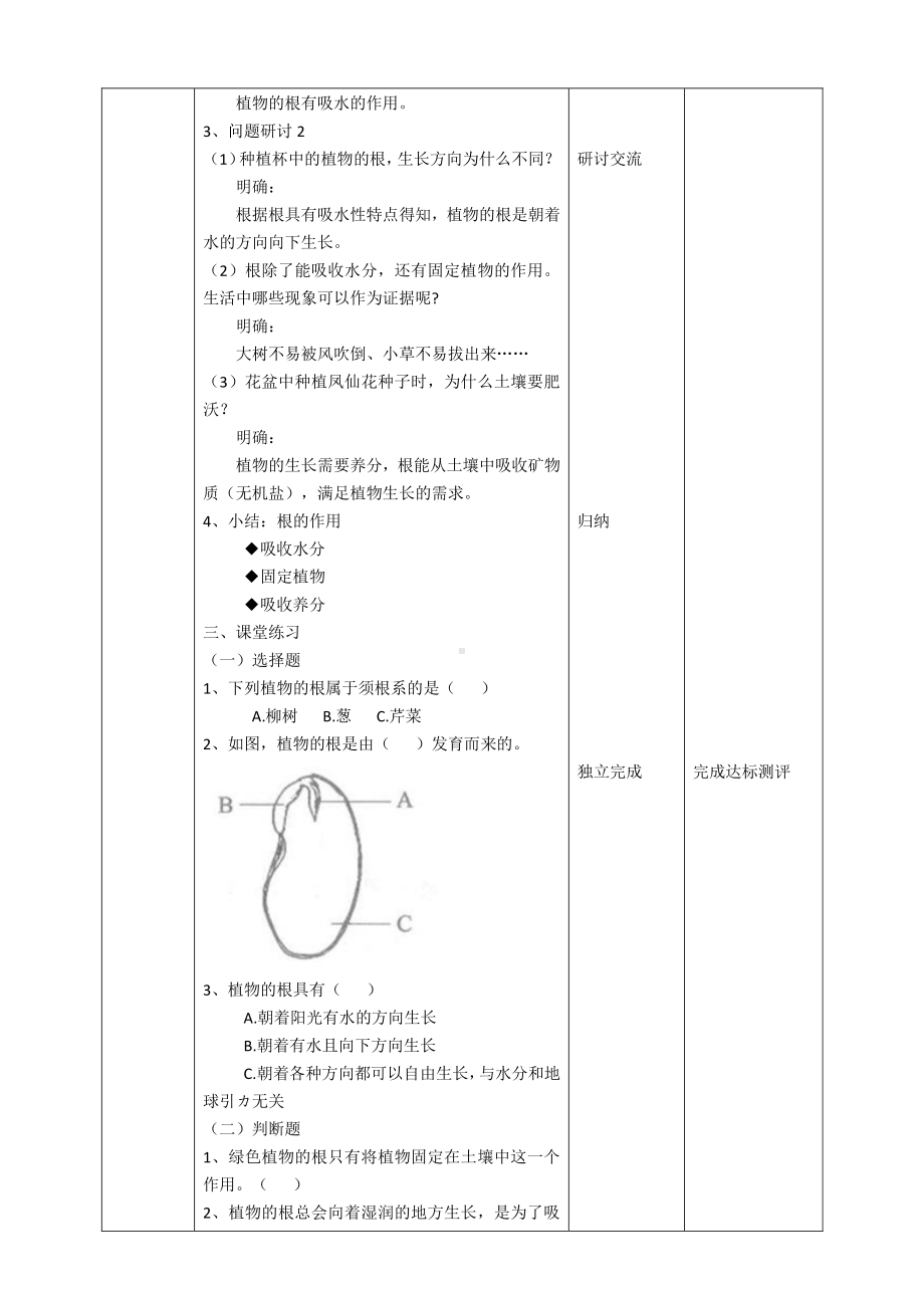 教科版四年级科学下册 1.3《种子长出了根》优秀教案（2套）.doc_第3页