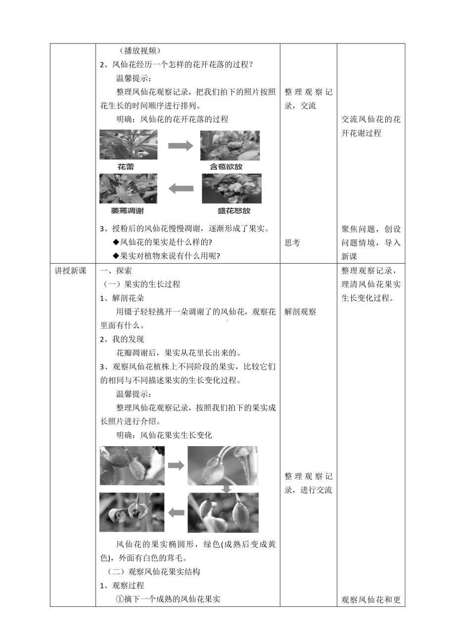 新教科版四年级科学下册1.6《果实和种子》教案.doc_第2页