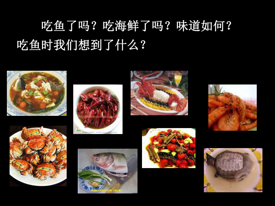 水产动物疾病学完整教学课件.ppt_第2页