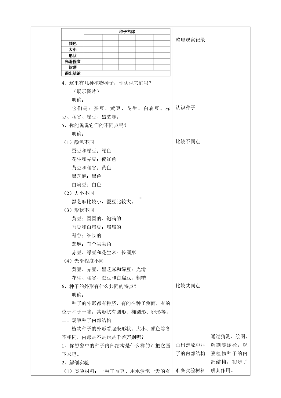 教科版四年级科学下册 1.1《种子里孕育着新生命》教案.doc_第2页