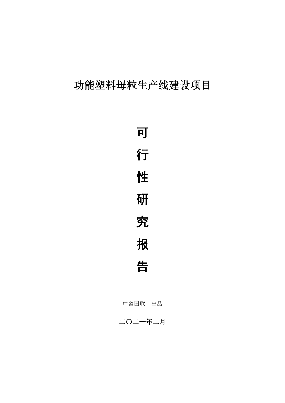 功能塑料母粒生产建设项目可行性研究报告.doc_第1页