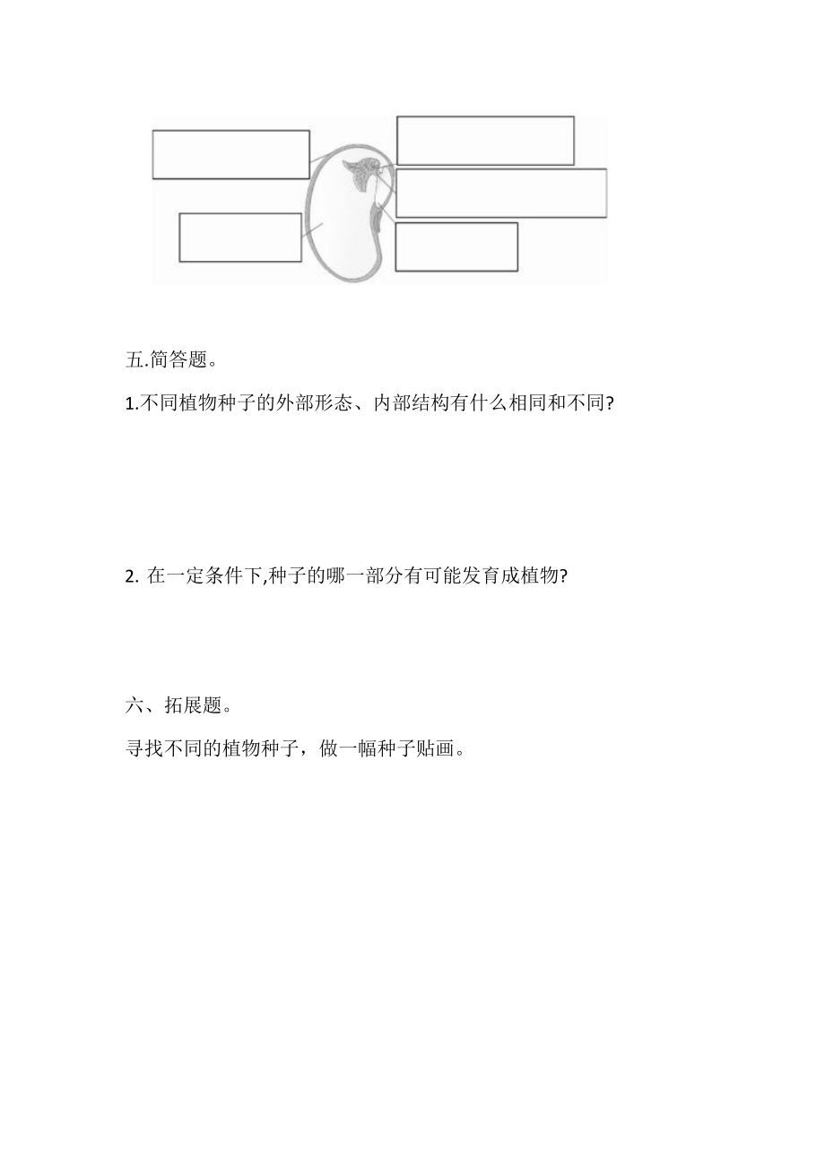 2021新教科版四年级下册科学1 种子里孕育着新生命课课练习题（含答案）.doc_第3页