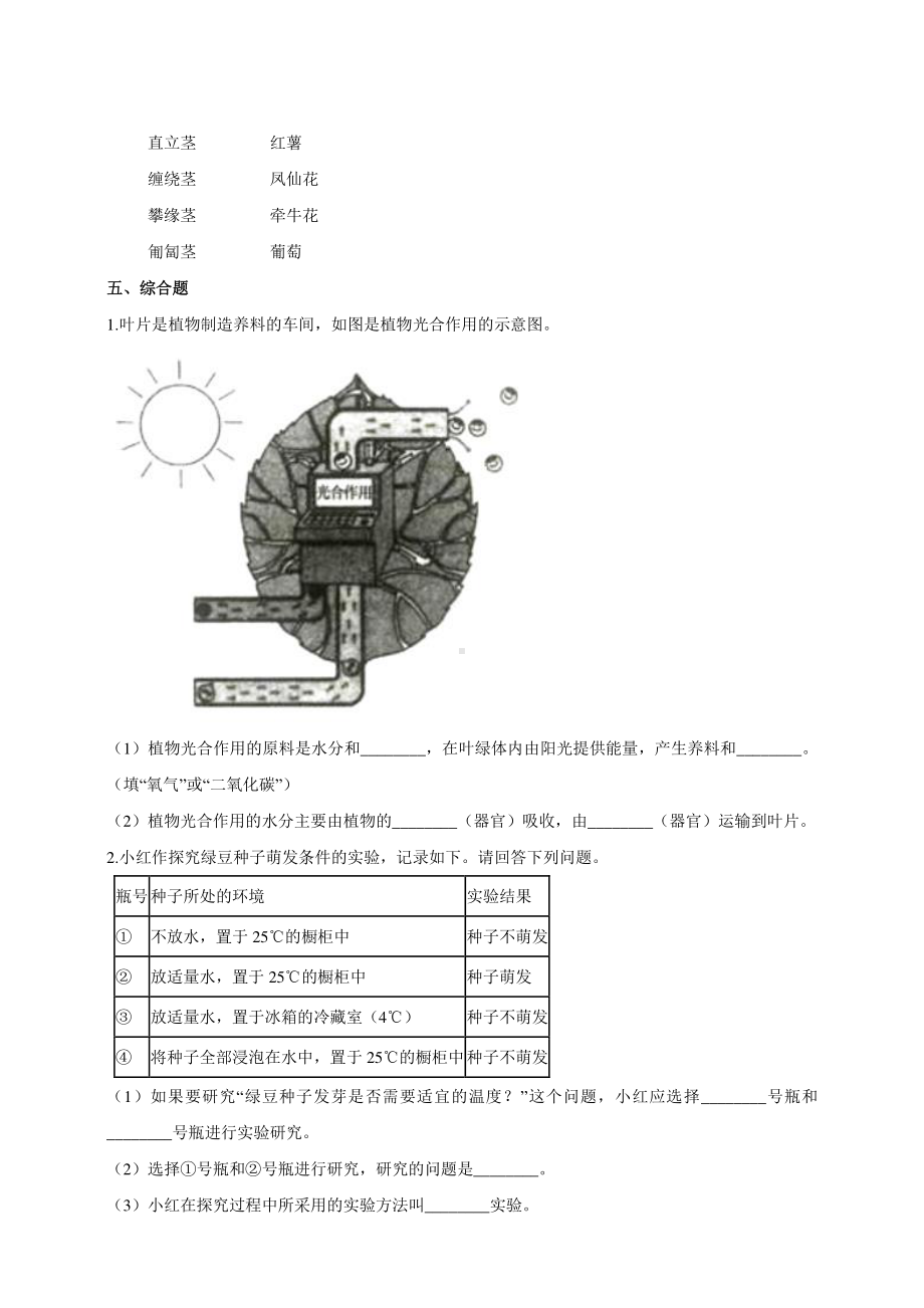 教科版四年级科学下册1.4《茎和叶》练习.doc_第2页