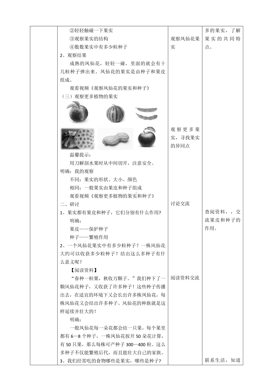 新教科版四年级科学下册1.6《果实和种子》优秀教案（2套）.doc_第3页