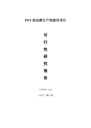 PET流延膜生产建设项目可行性研究报告.doc