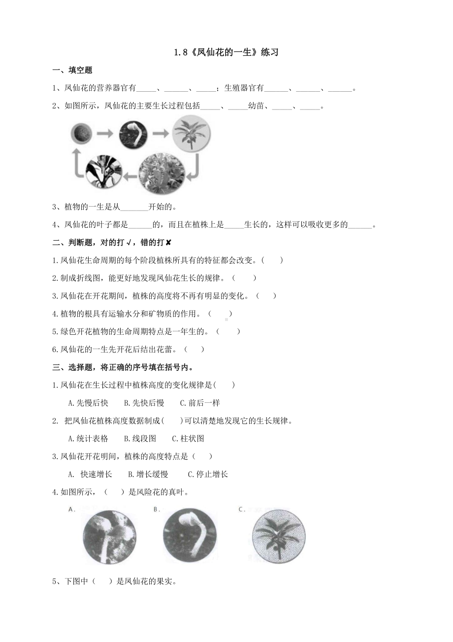 教科版四年级科学下册1.8《凤仙花的一生》练习.doc_第1页