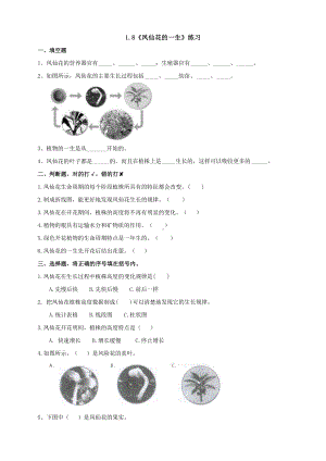 教科版四年级科学下册1.8《凤仙花的一生》练习.doc