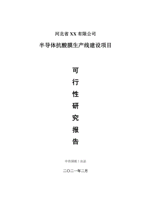 半导体抗酸膜生产建设项目可行性研究报告.doc