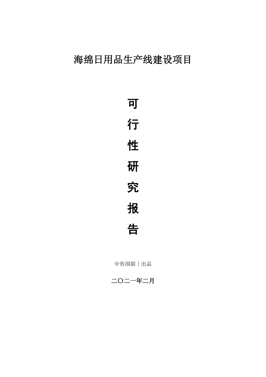 海绵日用品生产建设项目可行性研究报告.doc_第1页