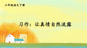 部编版六下语文课件习作：让真情自然流露.ppt