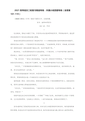 2021高考语文二轮复习精选专练：外国小说百题专练（含答案101-119）.docx