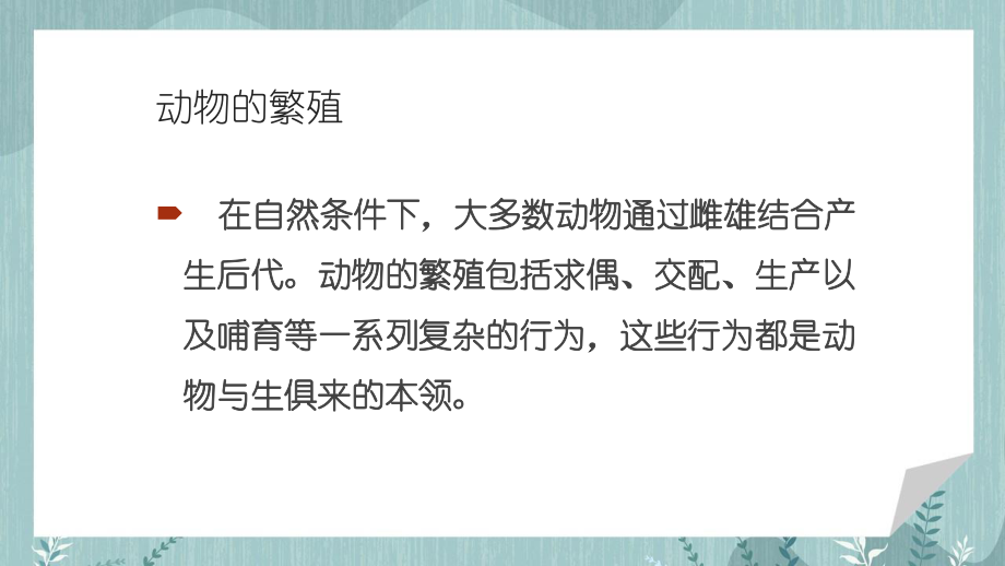 2021扬州新苏教版四年级科学下册14.《动物的繁殖》课件.pptx_第2页