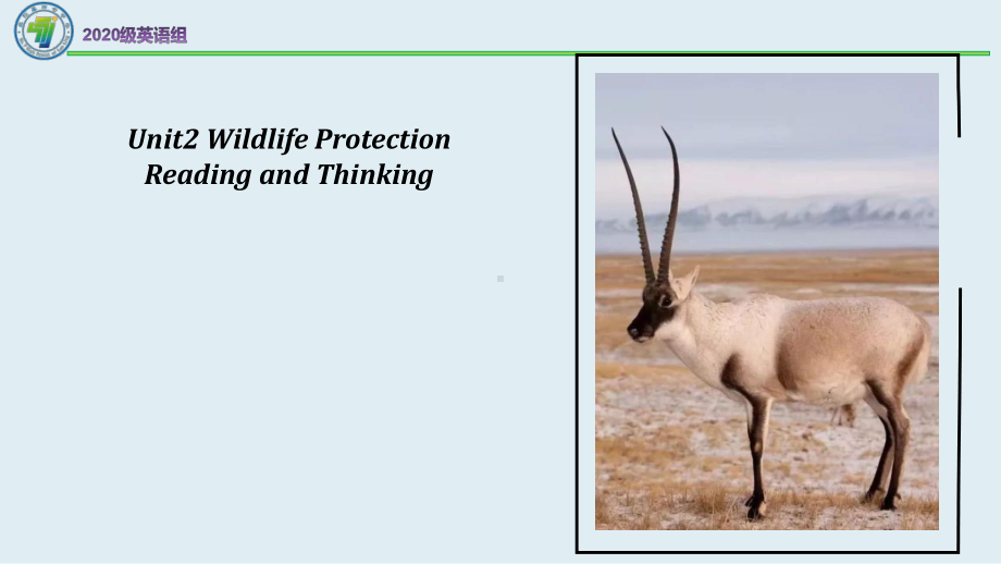 （新教材）人教版(2019) 高一英语 必修第二册Unit2 Wildlife Protection Reading and Thinking.pptx_第1页