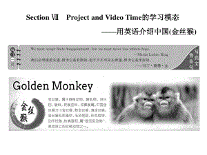 Unit 2 Section ⅦProject and Video Time （新教材）人教版（2019）必修第二册课件.ppt