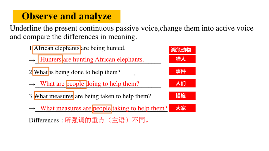 （新教材）人教版(2019) 高一英语 必修第二册Unit 2 Wildlife Protection-Period 4 Discovering Useful Structure 课件.pptx_第3页