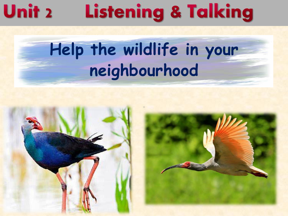 （新教材）人教版（2019） 必修第二册 Unit 2wildlife protection Listening and Talking 课件.ppt_第2页