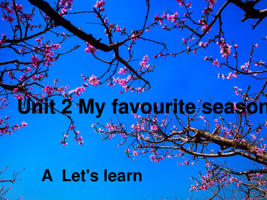 五年级英语下册课件：Unit2 My favourite season Part -A Let's learn-人教PEP版.ppt_第1页