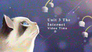 （新教材）人教版（2019）高一英语必修第二册 Unit3 The Internet Video Time 课件.pptx