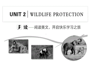 Unit 2 Section ⅠListening and Speaking （新教材）人教版（2019）必修第二册课件.ppt