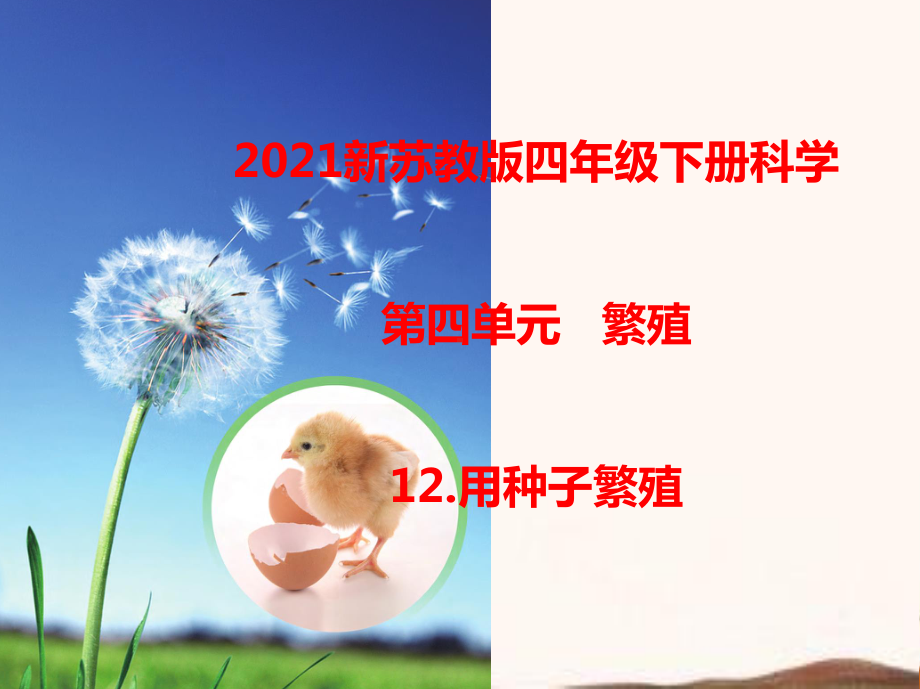 2021新苏教版四年级下册科学12.用种子繁殖课件.ppt_第1页